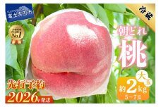 【2026年発送 先行予約】山梨の朝どれ桃2kg　大玉5玉～7玉  もも 山梨県産 モモ 厳選 フルーツ 果物 くだもの 山梨 富士吉田