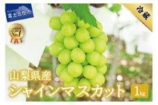 【2025年先行予約】数量限定！山梨県産シャインマスカット約1㎏（2房）  シャインマスカット 数量限定 山梨県産 フルーツ 果物 2025年 先行予約 旬 ぶどう 高級 山梨 富士吉田市