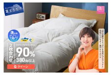 【甲州羽毛2枚合わせふとん】手洗いできるウクライナホワイトダウン90% ホワイト（クイーン) ふとんカバー付 羽毛布団 布団 寝具 甲州羽毛 2枚合わせふとん 合掛け 肌掛け 回収キット付き 山梨 富士吉田
