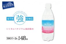 シリカ＆バナジウム強炭酸水PET500ml×2箱(48本入)友桝飲料 炭酸水 シリカ バナジウム PET500ml 48本 強炭酸水 天然水割り材 国産 山梨 富士吉田