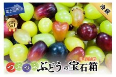 期間限定 つぶつぶ ぶどうの 宝石箱 フルーツ 山梨県産 シャインマスカット 黒ぶどう ピオーネ 果物 先行予約 2024年 旬 山梨県 山梨 果実 巨峰 マイハート 山梨 富士吉田