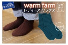 光吸収発熱ウール「ウォームファーム　ソックス」ターコイズ