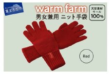 手袋 光吸収発熱ウール 「 ウォームファーム　ニット手袋 」 レッド 暖かい ウール 発熱素材 レディース メンズ 秋 冬