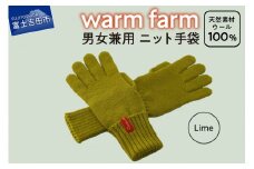 手袋 光吸収発熱ウール 「 ウォームファーム　ニット手袋 」 ライム 暖かい ウール 発熱素材 レディース メンズ 秋 冬
