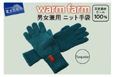 手袋 光吸収発熱ウール 「 ウォームファーム　ニット手袋 」 ターコイズ 暖かい ウール 発熱素材 レディース メンズ 秋 冬