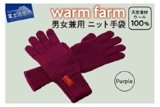 手袋 光吸収発熱ウール 「 ウォームファーム　ニット手袋 」 パープル 暖かい ウール 発熱素材 レディース メンズ 秋 冬