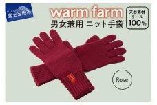 手袋 光吸収発熱ウール 「 ウォームファーム　ニット手袋 」 ローズ 暖かい ウール 発熱素材 レディース メンズ 秋 冬