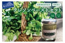 富士吉田市のクレソンペーストセット