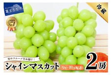 旬のフルーツ シャインマスカット2房 シャインマスカット フルーツ 山梨県産 果物 旬 産地直送 先行予約 山梨 富士吉田