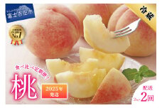 【2025年発送】【2回お届け！】山梨県産 桃 約2kg×2回配送 食べ比べ定期便  2025年発送 桃 もも  定期便 2回 食べ比べ もも 白鳳系 白桃系 果物 山梨県産 フルーツ ギフト 山梨 富士吉田市
