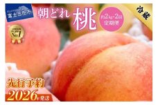 【2026年先行予約】【2回定期便】山梨朝どれ桃2kg×2回配送（白鳳系・白桃系）  定期便 2回 もも 白鳳系 白桃系 フルーツ 果物 山梨 富士吉田市