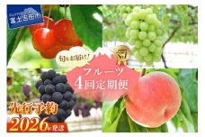 【数量限定】4回お届けフルーツ定期便 フルーツ シャインマスカット もも さくらんぼ 黒ぶどう 定期便 数量限定 山梨 富士吉田
