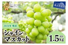 【2024年発送】ジューシーで甘さ抜群　厳選シャインマスカット1.5kg フルーツ 果物 シャインマスカット 期間限定 産地直送 山梨 富士吉田