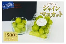 切り落とし シャインマスカット パック250g×2個(計500g) シャインマスカット マスカット ぶどう シャイン フルーツ 山梨 富士吉田