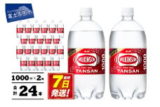 【炭酸水】ウィルキンソン　タンサン　PET1L×2箱(24本入)