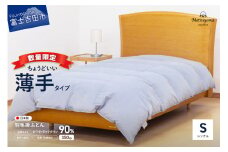 【数量限定】ちょうどいい薄手タイプの羽毛布団ライトグレー シングル 羽毛量0.5㎏