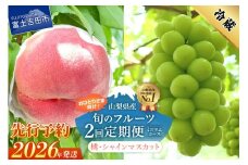【2026年先行予約】【ミニマム 2回定期便】厳選 旬のフルーツ定期便（桃3玉・シャインマスカット1房）  もも シャイン マスカット ぶどう 果物 おひとりさま 贅沢 ミニマム 定期便2回 フルーツ 山梨 富士吉田市