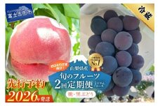 【2026年先行予約】【ミニマム 2回定期便】厳選 旬のフルーツ定期便（桃3玉・黒ぶどう1房）  もも 黒ブドウ ぶどう 果物 おひとりさま 贅沢 ミニマム 定期便2回 フルーツ 山梨 富士吉田市