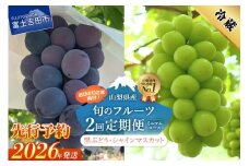 【2026年先行予約】【ミニマム 2回定期便】厳選 旬のフルーツ定期便（黒ぶどう1房・シャインマスカット1房）  シャイン マスカット 黒ブドウ ぶどう 果物 おひとりさま 贅沢 ミニマム 定期便2回 フルーツ 山梨 富士吉田市