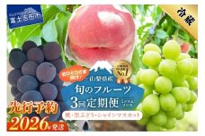 【2026年先行予約】【3回定期便】厳選 旬のフルーツ定期便（桃3玉・黒ぶどう1房・シャインマスカット1房）  もも 黑ブドウ シャイン マスカット ぶどう 果物 おひとりさま 贅沢 ミニマム 定期便3回 フルーツ 山梨 富士吉田市