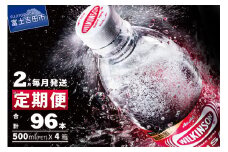 【2ヶ月お届け！】炭酸水 ウィルキンソン タンサン PET500ml×2箱（48本入）定期便 2回 アサヒ 強炭酸水 炭酸 水 炭酸水ウィルキンソン 山梨 富士吉田