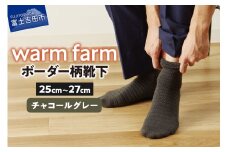 光吸収発熱ウール「ウォームファーム ボーダー柄靴下」（チャコールグレー）