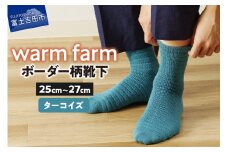 光吸収発熱ウール「ウォームファーム ボーダー柄靴下」（ターコイズ）