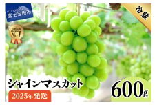 【2025年発送】山梨県産 シャインマスカット 600g フルーツ シャインマスカット 果物 旬 高級 山梨 富士吉田市