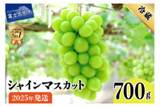 【2025年発送】山梨県産 シャインマスカット700g（1房以上） フルーツ シャインマスカット 果物 旬 高級 山梨 富士吉田市