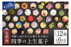 四季の彩 上生菓子(12個セット) 隔月 6回 定期便 【富士夢和菓子】  生菓子 和菓子 餡 スイーツ デザート 山梨 富士吉田