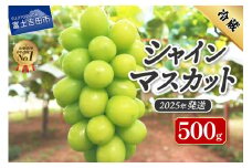 【2025年発送】ジューシーで甘さ抜群　厳選シャインマスカット500g  シャインマスカット ぶどう シャイン フルーツ 果物 山梨 富士吉田