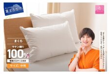 【4月発送】ダウンまくら中判(1個)　ピローケース付(1枚)【甲州羽毛ふとん】