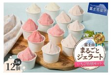 富士山まるごとジェラート　いちご特別セット ジェラート 氷菓子 スイーツ 夏いちご 詰め合わせ 山梨 富士吉田