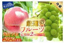 【2026年発送 先行予約】【2回定期便】厳選 旬のフルーツ定期便（桃2kg・シャインマスカット1kg以上）  もも シャイン マスカット ぶどう 新鮮 果物 贅沢 定期便2回 フルーツ 山梨 富士吉田市