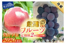 【2026年発送 先行予約】【2回定期便】厳選 旬のフルーツ定期便（桃2kg・黒ぶどう1kg以上）  もも 黒ブドウ ぶどう 果物  贅沢 たっぷり 定期便2回 フルーツ 山梨 富士吉田市