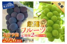 【2026年発送 先行予約】【2回定期便】厳選 旬のフルーツ定期便（黒ぶどう1kg以上・シャインマスカット1kg以上）  シャイン マスカット 黒ブドウ ぶどう  果物 贅沢 たっぷり  定期便2回 フルーツ 山梨 富士吉田市