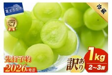 【2026年発送 先行予約】訳あり シャインマスカット1kg（2～3房） フルーツ シャインマスカット 果物 旬 ぶどう 山梨 富士吉田市