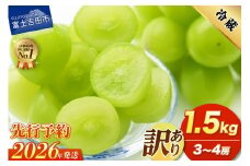 【2026年発送 先行予約】訳あり シャインマスカット1.5kg（3～4房） フルーツ シャインマスカット 果物 旬 ぶどう 山梨 富士吉田