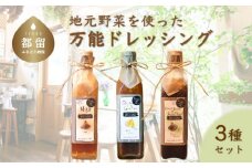 地元野菜を使った 万能ドレッシング（３種セット）【freckle】｜フレックル ドレッシング ギフト たれ 万能 ソース 贈答 プレゼント　地産地消