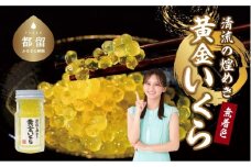 清流の煌めき 黄金いくら 【甲斐御正93カンパニー】｜ イワナ ヤマメ 岩魚 山女魚 おせち お正月 新年 お祝い ギフト 贈り物 年賀 湧水 グルメお歳暮 プレゼント お歳暮 希少 甲斐御正  いくら イクラ
