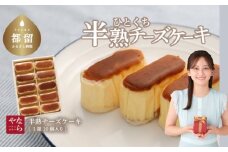 【ギフト用】半熟チーズケーキ1箱（10個入り）【ならや】｜チーズケーキ 半熟 贈答用 プレゼント ギフト naraya