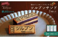 ツルブンサンド3個入(チョコレート菓子)｜チョコレート クッキー ガナッシュ 都留文科大学　つるぶん　春から都留文　