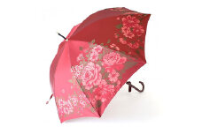 【槙田商店】晴雨兼用長傘　絵おり　大バラ　レッド 傘 かさ 雨具 高級 晴雨 兼用 UV 日焼け ギフト ファッション  日傘 プレゼント 化粧箱 老舗
