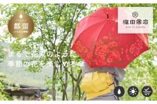 【槙田商店】晴雨兼用長傘　絵おり　大バラ　レッド 傘 かさ 雨具 高級 晴雨 兼用 UV 日焼け ギフト ファッション  日傘 プレゼント 化粧箱 老舗