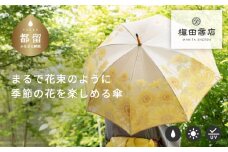 【槙田商店】晴雨兼用長傘　絵おり　向日葵　ベージュ 傘 かさ 雨具 高級 晴雨 兼用 UV 日焼け ギフト ファッション  日傘 プレゼント 化粧箱 老舗