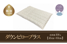 【羽毛枕】ダウンピロー プラス（定番サイズ：４３ｃｍ×６３ｃｍ）いつもの枕にプラス【サンモト】枕 羽毛まくら お昼寝パット 抱き枕  寝具 睡眠 快適 熟睡 快眠