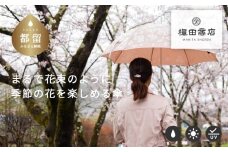 【槙田商店】晴雨兼用長傘　絵おり　桜　ベージュ 日傘 UV プレゼント 化粧箱 ギフト 老舗