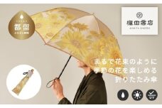 【槙田商店】晴雨兼用折りたたみ傘　絵おり　向日葵　ベージュ 日傘 UV プレゼント 化粧箱 ギフト 老舗