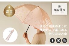 【槙田商店】晴雨兼用折りたたみ傘　絵おり　桜　ベージュ 日傘 UV プレゼント 化粧箱 ギフト 老舗