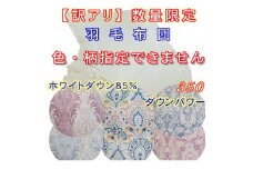 訳アリ羽毛肌布団 シングル ホワイトダウン８５％【ダウンパワー３５０】１５０×２１０ｃｍ羽毛肌掛け布団